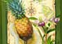 Compass Rose Pineapple, 20 x 28 Acrylic on Canvas